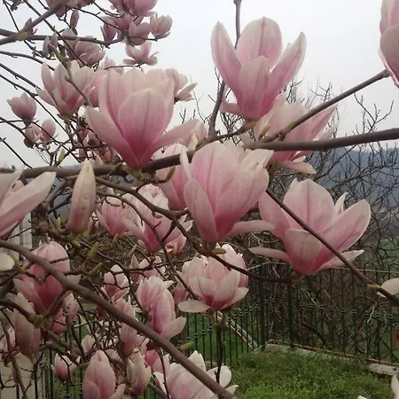 Charming In Monferrato Villa *
